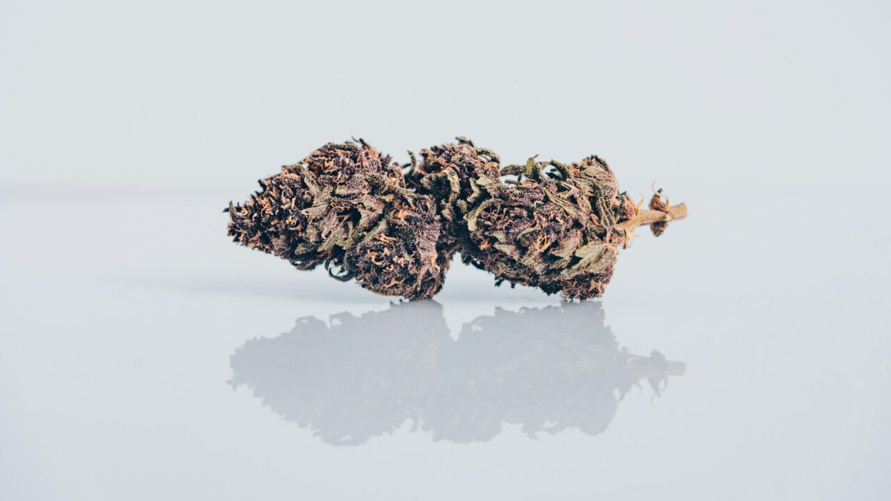 De beste blunt wraps voor beginners: dit moet je weten voordat je begint